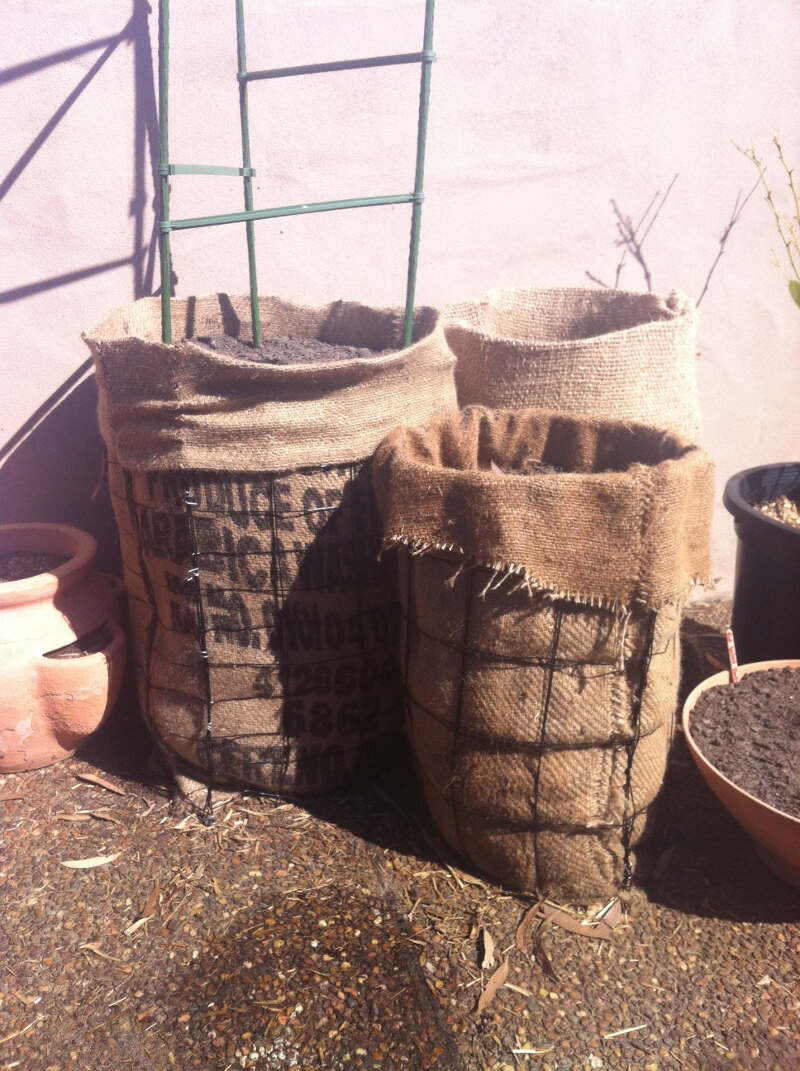 container gardens- hessian bags